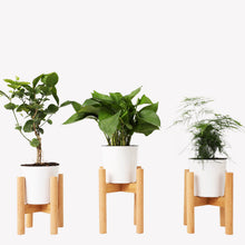 Load image into Gallery viewer, Living Room Display Wooden Frame Flower Pot Rack
