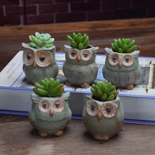 Load image into Gallery viewer, Owl Shape Garden Flower Pot Desk Plant Pot Creative Design

