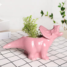 Load image into Gallery viewer, Cartoon Animal Dinosaur Succulents Ceramic Flower Pot
