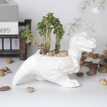 Load image into Gallery viewer, Cartoon Animal Dinosaur Succulents Ceramic Flower Pot
