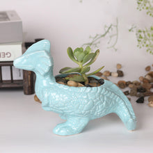 Load image into Gallery viewer, Cartoon Animal Dinosaur Succulents Ceramic Flower Pot
