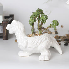 Load image into Gallery viewer, Cartoon Animal Dinosaur Succulents Ceramic Flower Pot
