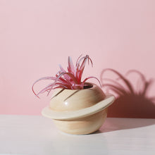 Load image into Gallery viewer, Ceramic Succulent Flower Pot
