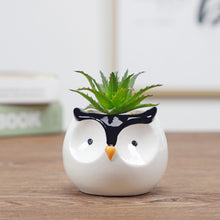 Load image into Gallery viewer, Ceramic flower pot
