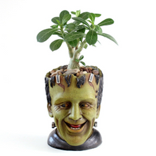 Load image into Gallery viewer, Fleshy Animals are Home Furnishings for Plants and POTS
