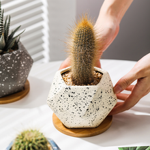 Load image into Gallery viewer, Nordic Succulent Flower Pot Ceramic Tray Creative Personality
