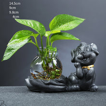 Load image into Gallery viewer, Glass Transparent Water Cultivation Green Dish Ware Flower Pot
