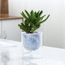 Load image into Gallery viewer, Marbled Hydroponic Ceramic Flower Pot

