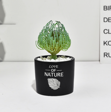 Load image into Gallery viewer, Succulent simulation plant small potted cactus ball
