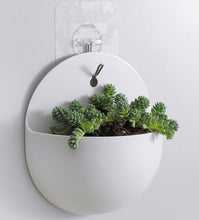 Load image into Gallery viewer, Plastic Wall Hanging Green Dill Hanging Flower Pot
