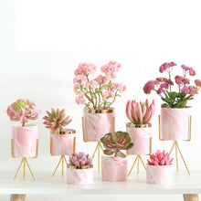 Load image into Gallery viewer, Pink marbled succulent flower pot
