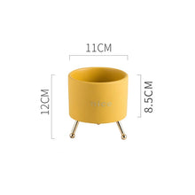 Load image into Gallery viewer, Creative Personality Iron Ceramic Flowerpot
