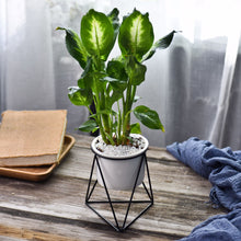 Load image into Gallery viewer, Green Plant Ceramic Iron Frame Flower Pot
