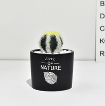 Load image into Gallery viewer, Succulent simulation plant small potted cactus ball
