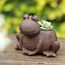 Load image into Gallery viewer, Animal Planter Pot
