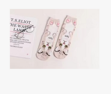 Load image into Gallery viewer, Spring and autumn new cartoon straight socks female adult animal cute female socks cat cotton socks in stockings
