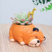 Load image into Gallery viewer, Creative Sleeping Pet Succulent Flower Pot
