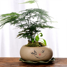 Load image into Gallery viewer, Succulent Flower Pot With Tray Ceramic Medium And Large
