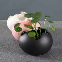 Load image into Gallery viewer, Eggshell Living Room Ceramic Hydroponic Vase Pot Desktop Flower Small And Simple Indoor Green Dill
