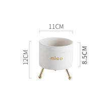 Load image into Gallery viewer, Creative Personality Iron Ceramic Flowerpot
