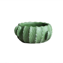 Load image into Gallery viewer, Cactus flower pot
