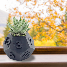 Load image into Gallery viewer, 3D Printed Plant Pot Table Top RPG Dice Succulent Planter Set Home Decoration Multifunction Garden Flower Pot
