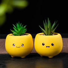 Load image into Gallery viewer, Ceramic Succulent Mini Flower Pot Set
