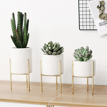 Load image into Gallery viewer, Plant Succulent Flowerpot
