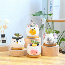 Load image into Gallery viewer, Cartoon animal succulent flower pot
