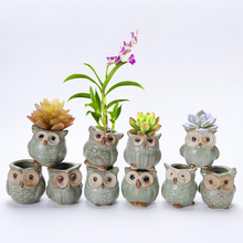 Load image into Gallery viewer, Mini Ceramic Owl Plant Pot Random Design
