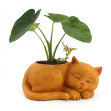 Load image into Gallery viewer, Creative three-dimensional lazy cat flower pot
