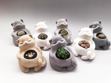 Load image into Gallery viewer, Succulents Handmade Cement Plant Creative Flower Pot
