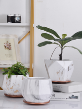 Load image into Gallery viewer, Ceramic Flower Pot Indoor Chlorophytum Green Radish Succulent Breathable Flower Pot
