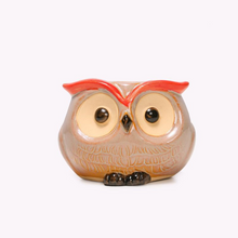 Load image into Gallery viewer, Creative Simple Succulent Owl Flower Pot
