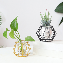 Load image into Gallery viewer, Simple Ins Hydroponic Small Vase Creative Glass Transparent Flower Water Plant Decoration Ornaments
