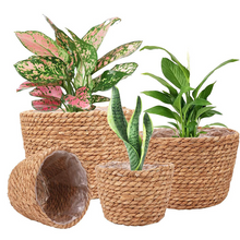 Load image into Gallery viewer, Storage Basket Plant Flower Pot Straw Seaweed Weaving Mechanism Amazon Size Plant Basket Interior Decorative Flower Pot
