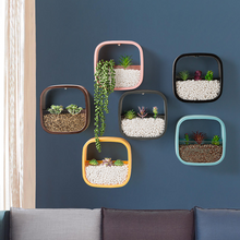 Load image into Gallery viewer, Flower Pot Wall-mounted Radish Copper Money Grass Wall-mounted
