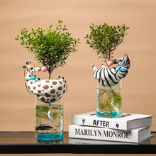 Load image into Gallery viewer, Succulent Automatic Water-absorbing Flowerpot Lazy Decoration
