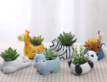 Load image into Gallery viewer, Creative Cartoon Animal Succulent Plant Pot
