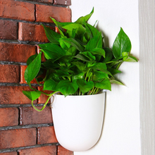 Load image into Gallery viewer, Hanging Flower Pots At Right-angle Corners On The Wall

