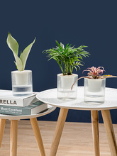 Load image into Gallery viewer, Self-absorbent succulent flower pot
