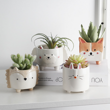 Load image into Gallery viewer, Personality succulent ceramic flowerpot
