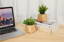 Load image into Gallery viewer, Simple Wooden Flowerpot Creative Home Garden
