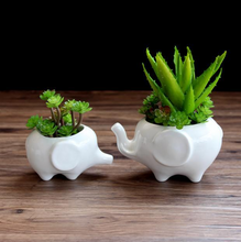 Load image into Gallery viewer, Creative ceramic flower pot
