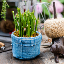 Load image into Gallery viewer, Jeans pocket flower pot small flower pot
