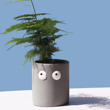Load image into Gallery viewer, Cement Flowerpot Big Eyes Creative Tabletop Succulent Flowerer
