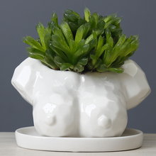 Load image into Gallery viewer, Cartoon Succulent Flower Pot Ceramic White Creative Abstract Body Art Floral
