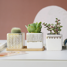 Load image into Gallery viewer, Succulent Ceramic Flower Pot Small Square Table Top Ornament
