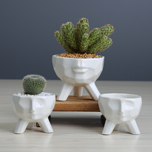 Load image into Gallery viewer, Simple And Creative White Succulent Flower Pot
