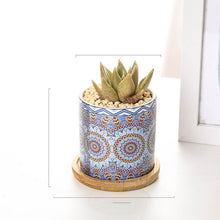 Load image into Gallery viewer, Mandala Succulent Potted Nordic Color Pot
